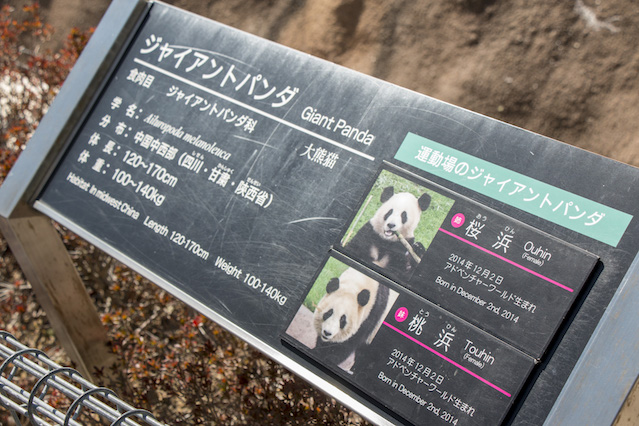 和歌山＆白浜＆串本への旅行記 03　〜定番観光地！アドベンチャーワールドのパンダや動物たち
