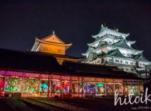 冬は名古屋城デートがオススメ！プロジェクションマッピングが開催！アクセス方法とレポートをまとめた！ nagoyajo_nagoya-nightcastle_img_8398